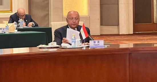 شكرى: الموقف المصرى والعربى رافض لتهجير الفلسطينيين وإسرائيل ترتكب جرائم حرب