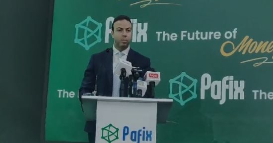 نائب البنك المركزى: مضاعفة عدد شركات التكنولوجيا المالية 5 مرات لتصل لـ177 شركة