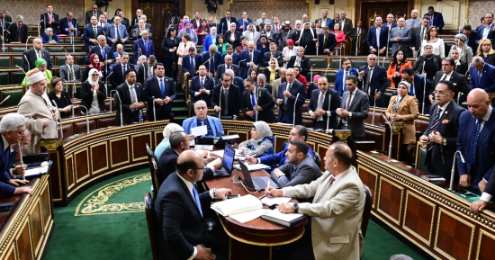 ضياء الدين داوود: مستعدون لدفع الفاتورة لحماية الأمن القومى المصرى      