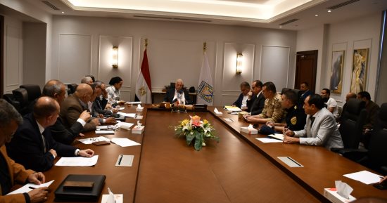 الانتخابات الرئاسية.. 20 مركزا انتخابيا و9 لجان عامة بمحافظة جنوب سيناء