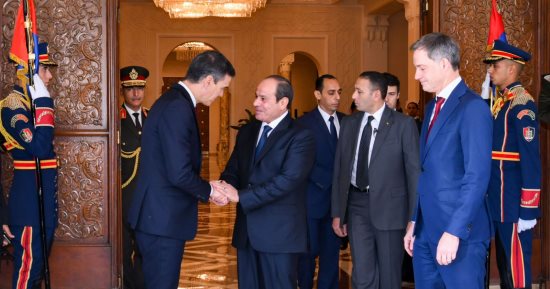 الرئيس السيسى: الأفق السياسى لحل القضية الفلسطينية لا يصل لتحقيق المأمول