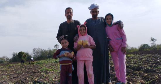 تعرف على كيفية التفريق بين بطاطس التحمير وبطاطس الطبخ من قلب المزارع