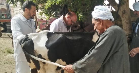 جامعة الزقازيق توجه قافلة بيطرية لقرية كفر العلماء مركز فاقوس بالشرقية
