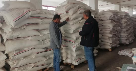 التحفظ على 210 أطنان سكر محظور تداولها داخل أحد مصانع الإسكندرية