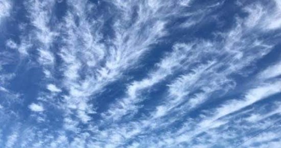 الريش المدارى.. ظاهرة جميلة تزين سماء القاهرة وتضفى منظرا بديعا 