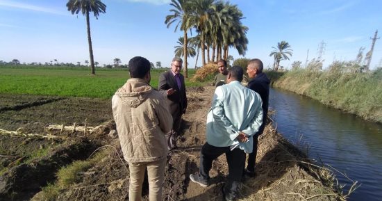 الزراعة: جولات بالمحافظات للمرور على زراعات القمح 