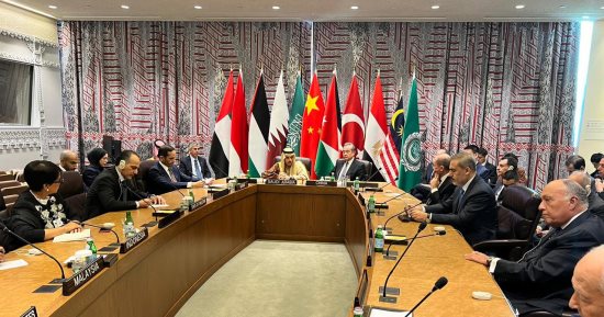سامح شكرى: لم يتم اتخاذ إجراءات فعلية تحول دون تهجير الفلسطينيين
