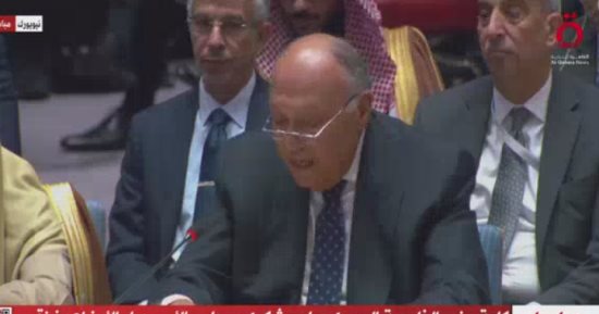 سامح شكرى: ما يحدث فى غزة انتهاك للقانون الدولى والإنسانى