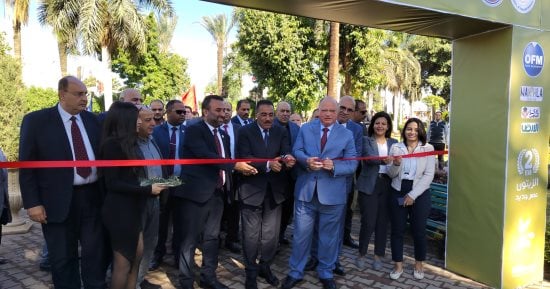 محافظ القاهرة يفتتح مهرجان الزيتون بحديقة الحرية