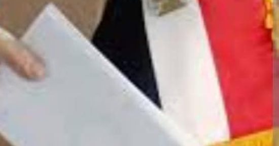 المصريون فى نيوزيلندا يدلون بأصواتهم فى الانتخابات الرئاسية بعد قليل