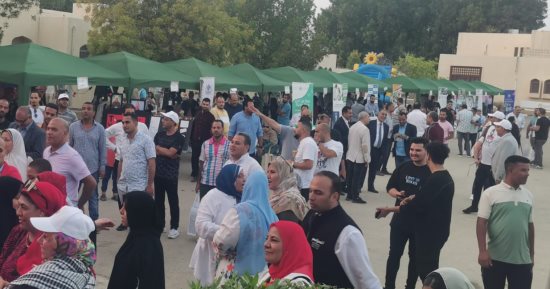 انطلاق ثانى أيام التصويت بالانتخابات الرئاسية للمصريين فى نيوزيلندا
