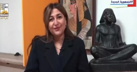 قنصل مصر بهامبورج: المصريون فى الخارج مرتبطون بالوطن وأحداثه دائمًا