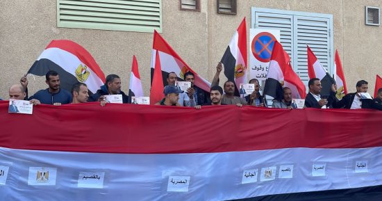 نواب: المصريون بالخارج ضربوا المثل والقدوة فى دعم الدولة المصرية