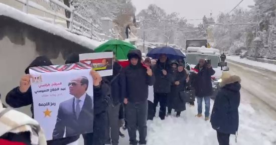 القنصلية المصرية في فيينا: الانتخابات شهدت إقبالا كبيرا رغم سوء الطقس