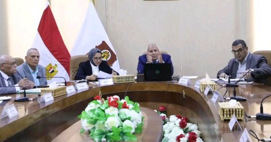 محافظ الوادى الجديد يتابع جاهزية كل القطاعات للانتخابات الرئاسية