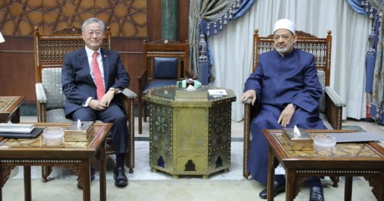 الإمام الأكبر: الأزهر مهموم بقضايا الإنسانية وعلى رأسها القضية الفلسطينية