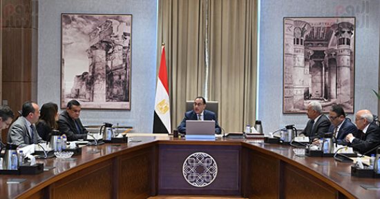 مدبولى يستعرض مشروعا لإنتاج الأمونيا الخضراء باستثمارات تقترب من مليار دولار