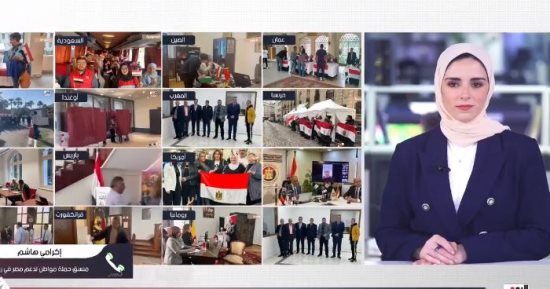 منسق حملة "مواطن لدعم مصر" فى روما: المصريون بالخارج سجلوا لحظات تاريخية