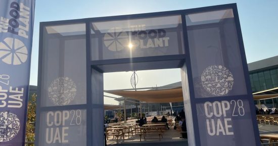 بحضور رئيس COP28 وقادة أفريقيا.. الرئيس الكيني يطلق مبادرة التصنيع الأخضر