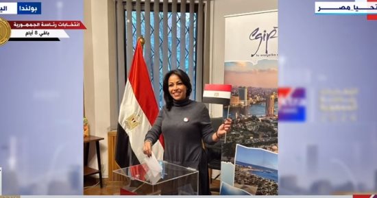 المصريون في الخارج يسطرون ملحمة وطنية جديدة