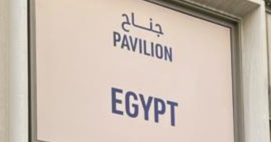 الدولة المصرية تقف شامخة فى جلسات فعاليات الجناح المصرى بـ Cop28
