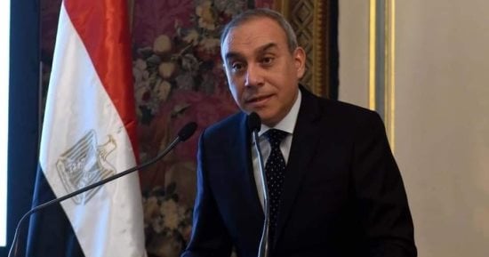هيئة الاستعلامات ردا على الجارديان.. مصر توفر كل الرعاية للأشقاء على أرضها