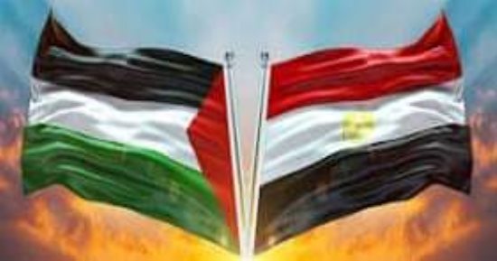 بدء فعاليات يوم "فلسطين فى القلب" بمتحف الطفل.. اليوم