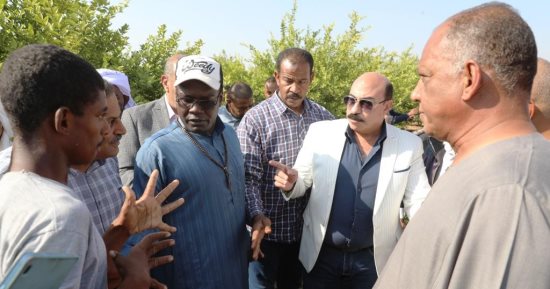 محافظ أسوان يزور مزرعة شباب الخير بنصر النوبة لمساعدة الأيتام.. صور