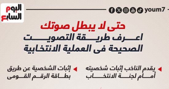 اعرف طريقة التصويت الصحيحة فى العملية الانتخابية (إنفوجراف)