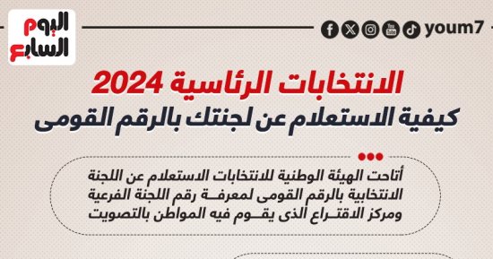 كيف تستعلم عن لجنتك الانتخابية؟.. اعرف الخطوات (إنفوجراف)