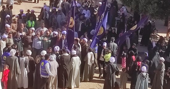 مسيرات كرنفالية لحزب حماة الوطن للحث على المشاركة بالانتخابات فى الأقصر.. صور