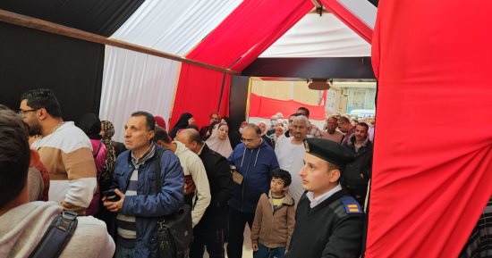 رئيس بعثة الجامعة العربية: إشادات عربية ودولية بنجاح انتخابات الرئاسة المصرية
