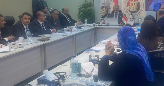 رؤساء اللجان العامة يوجهون الشكر لجموع الشعب المصرى على المشاركة بالانتخابات