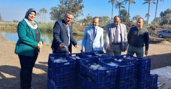 نائب رئيس جامعة بنها يشهد حصاد سمك البلطى من المزارع المفتوحة