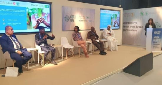 مركز القاهرة الدولى يسلط الضوء على مبادرة رئاسة COP27