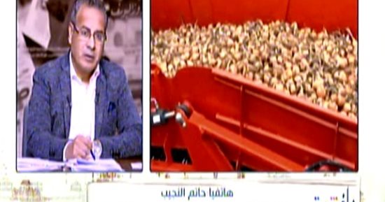 شعبة الخضروات: الفلاح عزف عن زراعة البصل واتجه لليانسون والكمون بسبب ارتفاع ربحيتهم