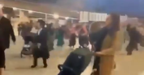 مستوطنون يهاجمون فلسطينيين جنوب الخليل