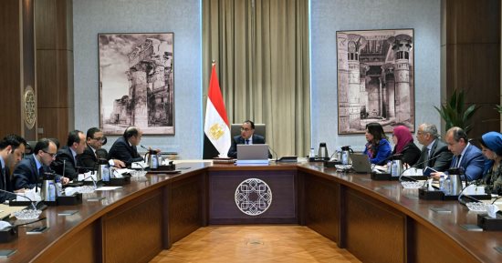 الحكومة: آليات مقترحة لإقامة مراكز تجارية مصرية متكاملة فى أفريقيا