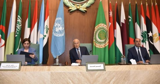 أبو الغيط: الحرب على غزة تهدف القضاء على مجتمع بأكمله وتمزيق نسيجه
