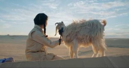 عرض فيلم "المعزة" فى مهرجان الجونة بطولة عمرو سعد وسيد رجب.. اللية