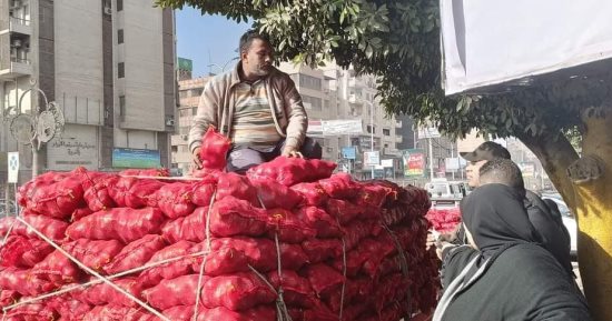 زراعة الغربية توفر شكائر بصل بسعر 20 جنيها للكيلو 