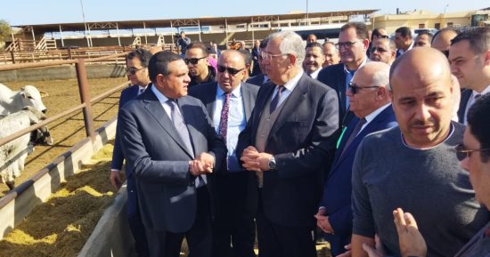 وزيرا التنمية المحلية والزراعة يشيدان بمحطة تسمين الماشية والمجزر الآلى ببورسعيد