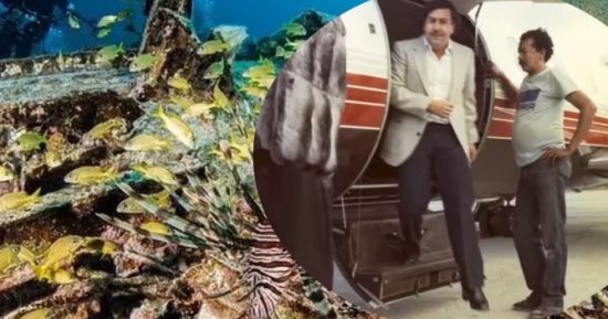 مغامرات اسكوبار.. قصص لا تنتهى بعد 30 عامًا على وفاة بارون المخدرات.. أسرار جديدة عن طائرة جزر البهاما الغارقة.. كولومبيا تعدم "أفراس النهر" الخاصة به بعد تكاثر خارج عن السيطرة.. ومخالفات بناء تهدد أحد قصوره