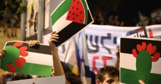 تواصل المسيرات الداعمة لفلسطين أمام محكمة العدل الدولية في لاهاي