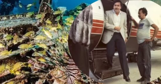 العثور على طائرة بابلو اسكوبار غارقة بجزر البهاما بعد 30 عاما على وفاته.. صور