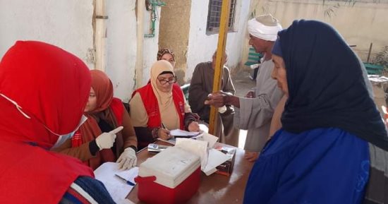 ماذا قدمت الدولة لعلاج أهالى البحيرة من الفيروسات.. صور