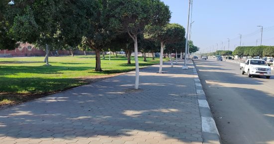 طقس الإسماعيلية.. الشمس ساطعة والأجواء دافئة نهارًا "فيديو وصور"