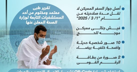 الأوراق المطلوبة من حجاج الجمعيات الأهلية الفائزين بالتأشيرات.. إنفوجراف