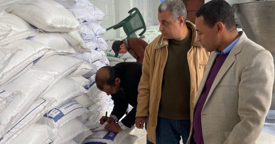 مصادرة 65 طن ملح طعام داخل مصنع دون ترخيص فى برج العرب