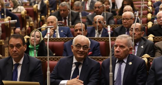 وكيل مجلس الشيوخ: الدستور ألزم الدولة بتطوير التعليم لمواكبة التطورات العالمية